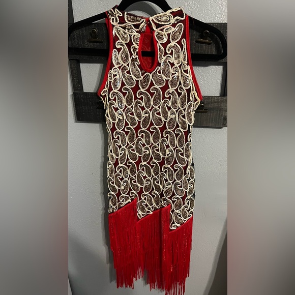 The Perfect Roaring 20’s Paisley Sequins Fringed Dress - Picture 2 of 6